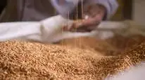 Tập 2 High on the Hog: Ẩm thực Mỹ gốc Phi đã thay đổi Hoa Kỳ như thế nào