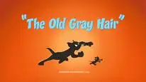 Tập 28 The Tom and Jerry Show (Phần 4)