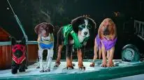 Tập 7 Super PupZ: Những chú cún siêu năng