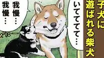 Tập 59 Ngày Tận Thế Với Chú Chó Shiba Của Tôi