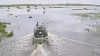 Tập 3 Lãnh địa cá sấu hoang