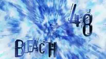 Tập 48 Bleach