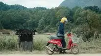Tập 01 Khi Hoa Rừng Nở Rộ