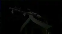 Tập 21 7 Ghost