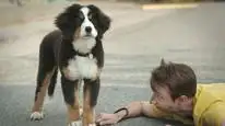 Tập 3 Super PupZ: Những chú cún siêu năng
