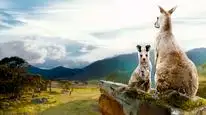 Tập Full Thung lũng kangaroo