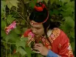 Tập 29 Hồng Lâu Mộng (1987)