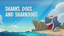 Tập 01 Sharkdog: Chú Chó Cá Mập (Phần 3)
