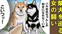 Tập 67 Ngày Tận Thế Với Chú Chó Shiba Của Tôi