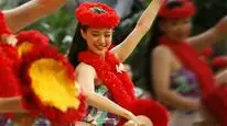 Tập Full Cô Gái Hula