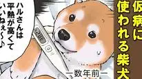 Tập 32 Ngày Tận Thế Với Chú Chó Shiba Của Tôi