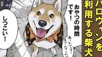 Tập 52 Ngày Tận Thế Với Chú Chó Shiba Của Tôi
