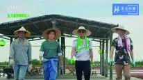 Tập 17 Đường Về Nhà (2019)