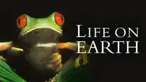 Tập 10 Life on Earth