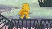 Tập 15 Digimon 1999