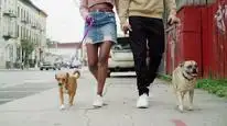 Tập 8 Chú chó Bruno