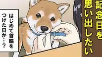 Tập 52 Ngày Tận Thế Với Chú Chó Shiba Của Tôi