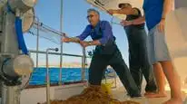 Tập 02 Eugene Levy, Vị Lữ Khách Miễn Cưỡng (Phần 2)