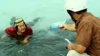 Tập Full Mỹ Nhân Ngư