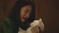 Tập 8 Meow, Chàng Trai Bí Ẩn