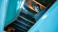 Tập 2 Bates Motel (Phần 4)