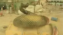 Tập Full Đánh Quái