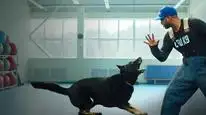 Tập 1 Cali K9: Trường huấn khuyển