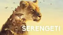 Tập 02 Serengeti