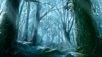 Tập 1 Mushishi