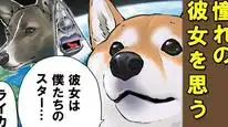 Tập 56 Ngày Tận Thế Với Chú Chó Shiba Của Tôi