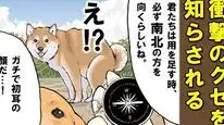Tập 44 Ngày Tận Thế Với Chú Chó Shiba Của Tôi