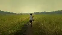 Tập Full Hổ Vĩ