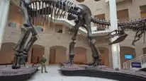 Tập 2 Ancient Earth: Dinosaurs of the Frozen Continent