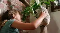 Tập 3 Thế giới gấu túi của Izzy (Phần 2)