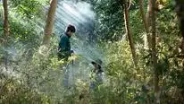 Tập 6 Hai Chồng Một Vợ