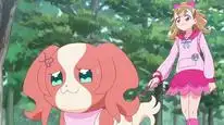 Tập 90 Wonderful Precure!