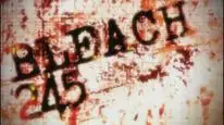 Tập 245 Bleach
