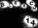 Tập 14 Bleach