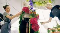 Tập 2 Đại chiến hoa tươi