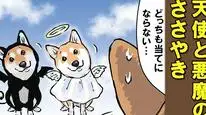 Tập 70 Ngày Tận Thế Với Chú Chó Shiba Của Tôi