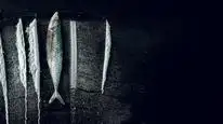 Tập Full Sống Triều Đổi Vận: Câu Chuyện Siêu Thực Tế Rabo de Peixe