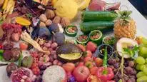 Tập 5 Ngon điên rồ