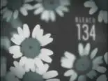 Tập 134 Bleach