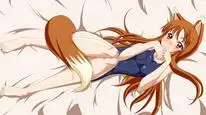 Tập 11 Ookami to Koushinryou