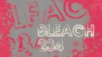 Tập 234 Bleach