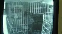 Tập 2 Ác quỷ nhà kế bên