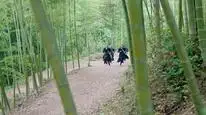 Tập 25 Cẩm Y Chi Hạ