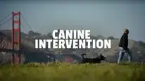 Tập 4 Cali K9: Trường huấn khuyển