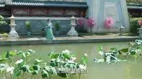 Tập 15 Chớ Quấy Rầy Phi Thăng