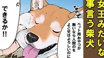 Tập 40 Ngày Tận Thế Với Chú Chó Shiba Của Tôi